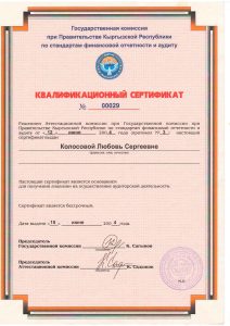 Аудитор